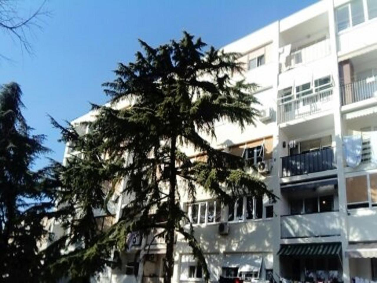 Apartment Calluna Split Ngoại thất bức ảnh